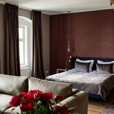 Alte Muenze Mit Parkplatz Zwickau